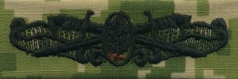Type III Warfare Devices & Breast Insignia Enlisted