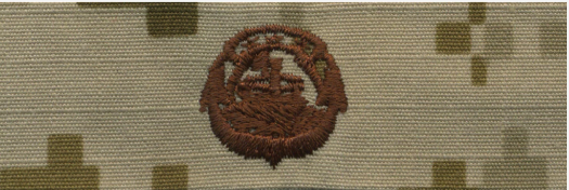 NWU Type II Warfare Devices & Breast Insignia Officer