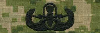 Type III Warfare Devices & Breast Insignia Enlisted