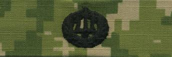 Type III Warfare Devices & Breast Insignia Enlisted