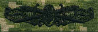 Type III Warfare Devices & Breast Insignia Enlisted