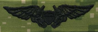 Type III Warfare Devices & Breast Insignia Enlisted