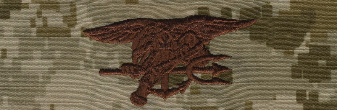 Type II Warfare Devices & Breast Insignia Enlisted