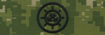 Type III Warfare Devices & Breast Insignia Enlisted