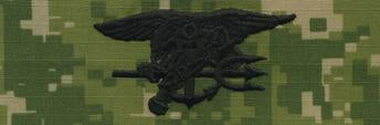 Type III Warfare Devices & Breast Insignia Enlisted
