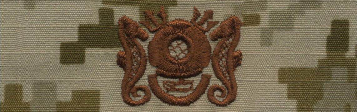 Type II Warfare Devices & Breast Insignia Enlisted