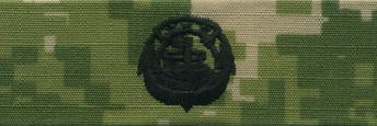Type III Warfare Devices & Breast Insignia Enlisted