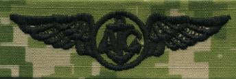 Type III Warfare Devices & Breast Insignia Enlisted