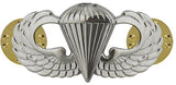 Warfare Devices & Breast Insignia Enlisted