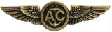 Warfare Devices & Breast Insignia Enlisted