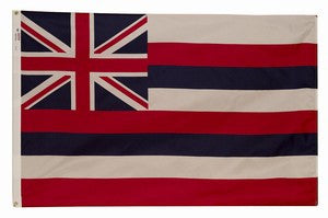 State Flags 4 x 6 FT Nylon Indoor/Outdoor Flag