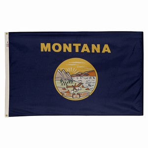 State Flags 4 x 6 FT Nylon Indoor/Outdoor Flag